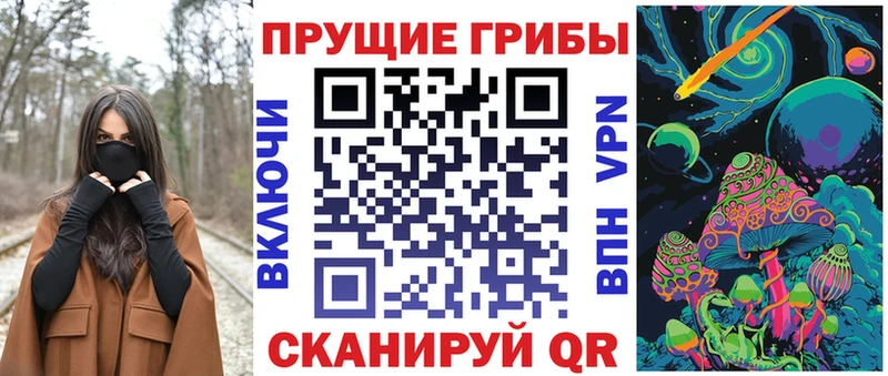 Псилоцибиновые грибы Psilocybine cubensis  Коркино 