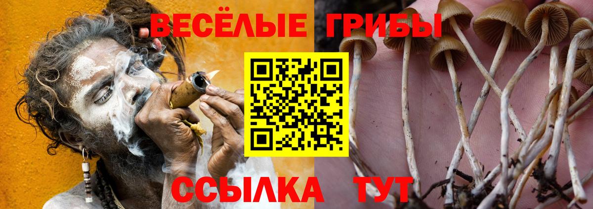 Галлюциногенные грибы прущие грибы Коркино
