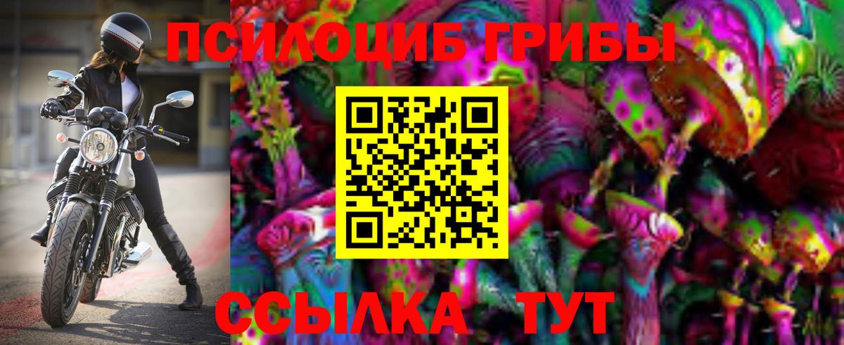 Галлюциногенные грибы GOLDEN TEACHER  Галлюциногенные грибы GOLDEN TEACHER  Коркино  Вход с VPN 