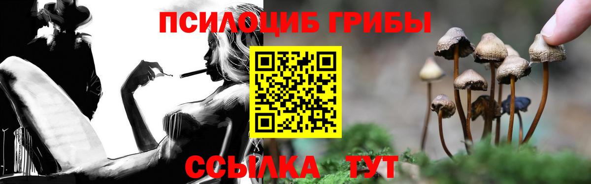 Галлюциногенные грибы ЛСД Коркино